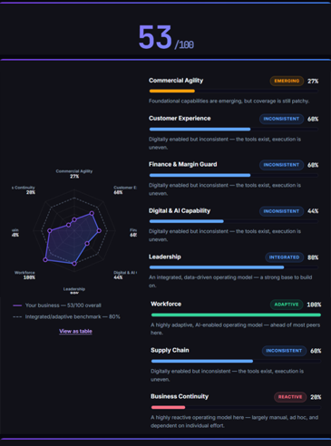 Example results report: an overall score of 53 out of 100, a radar chart of eight capability areas, and a scored bar with a readiness level for each area